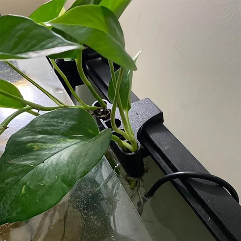 Hanging Aquarium Plant Holder  - Emersed Plants Aquarium ulasan dan harga