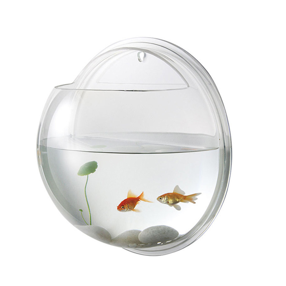 Wall Mounted Acrylic Fish Tank - Planted Aquarium For Goldfish ulasan dan harga