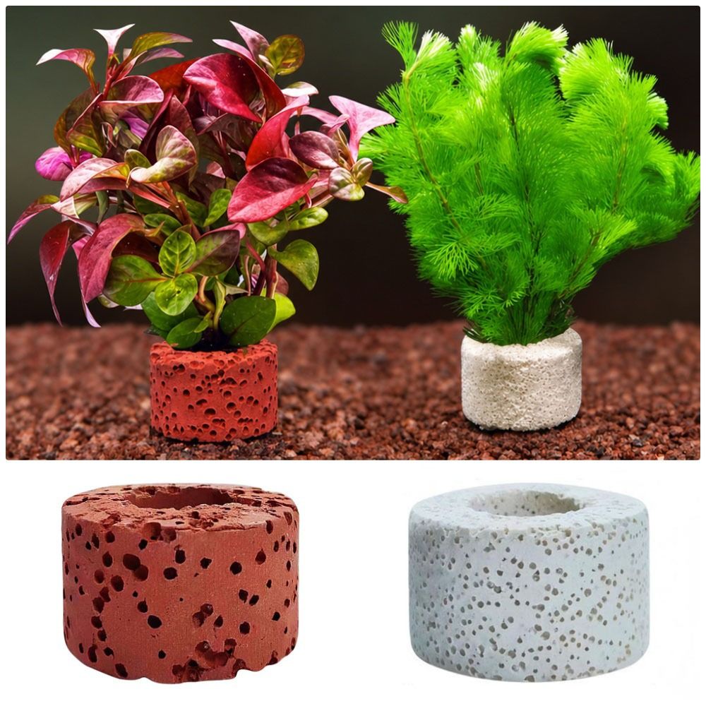 10Pcs Weighted Ring Aquatic Pl - Planted Aquarium Pictures ulasan dan harga