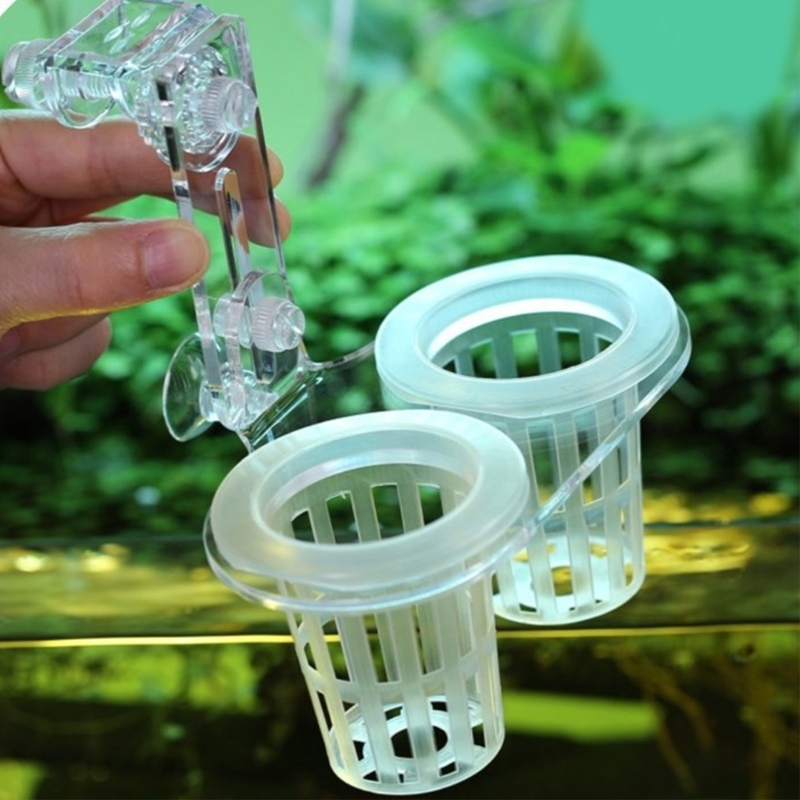 Aquariums Plant Stand Plant Cu - Emersed Plants Aquarium ulasan dan harga