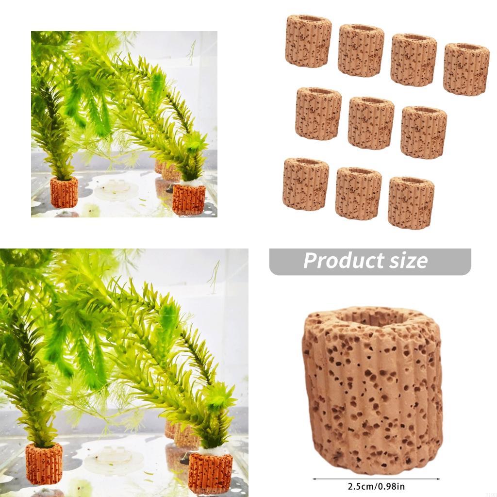F19B Paottery Aquariums Plant  - Emersed Plants Aquarium ulasan dan harga