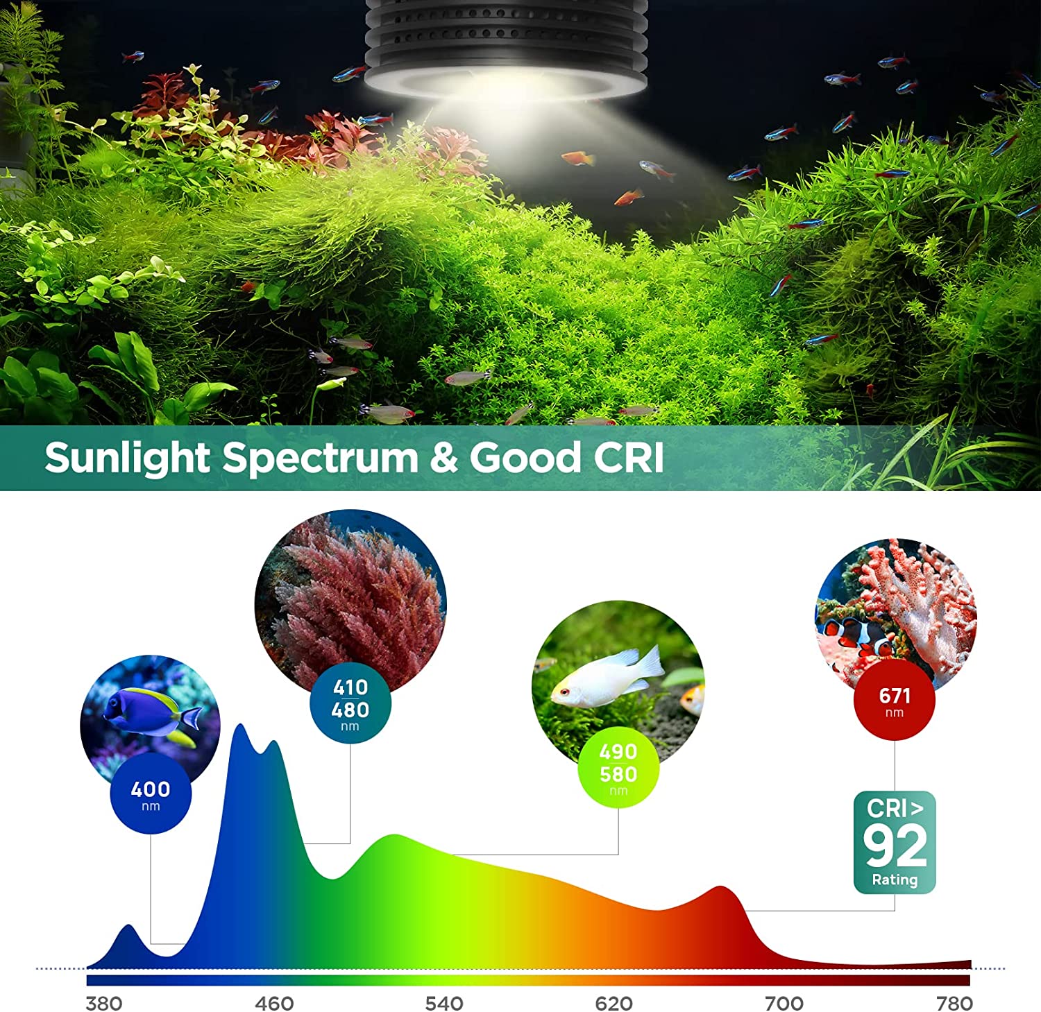 Lominie Asta 20 Freshwater 18W - Planted Aquarium Uv Light ulasan dan harga