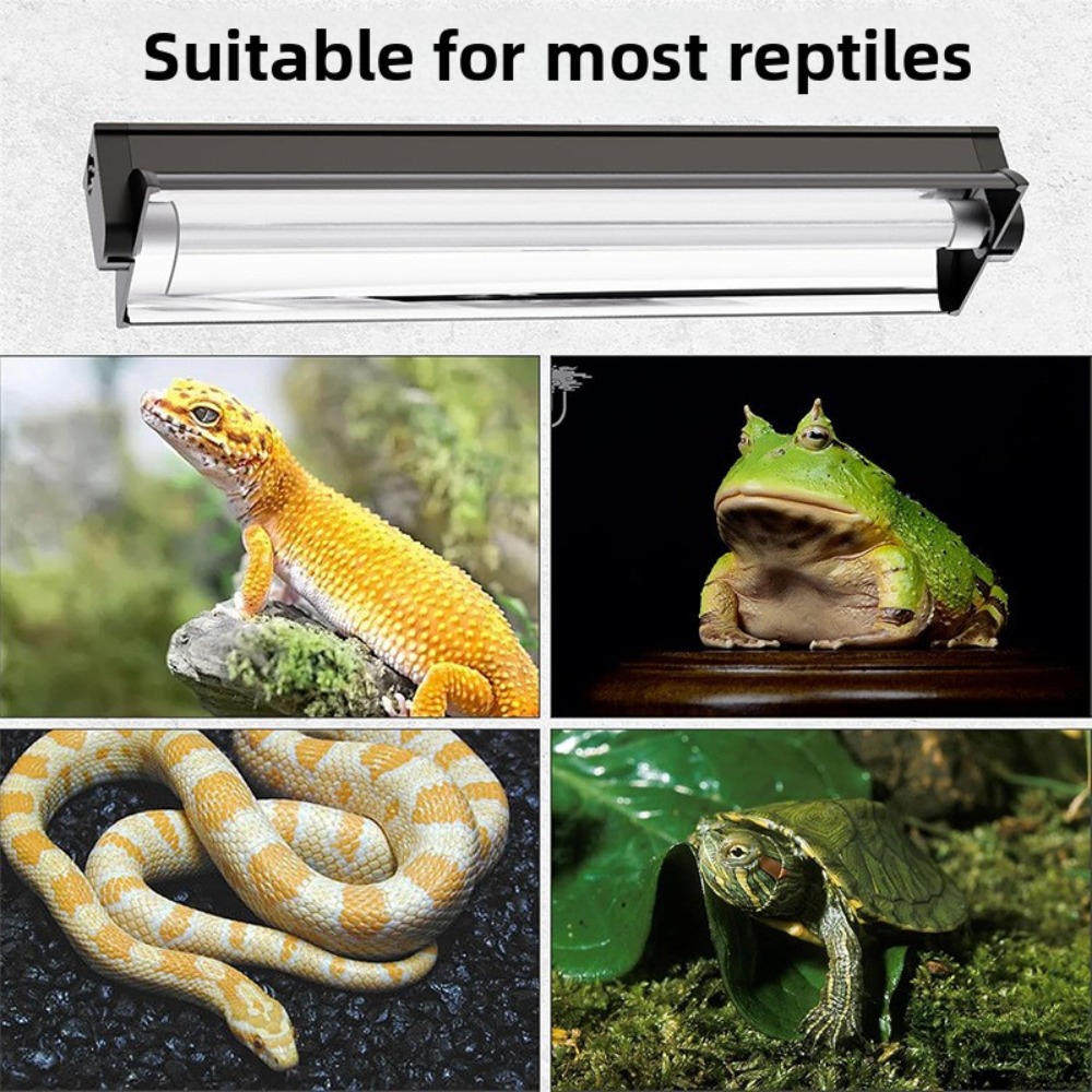 Planted and Reptile Terrarium  - Led Planted Tank Light ulasan dan harga