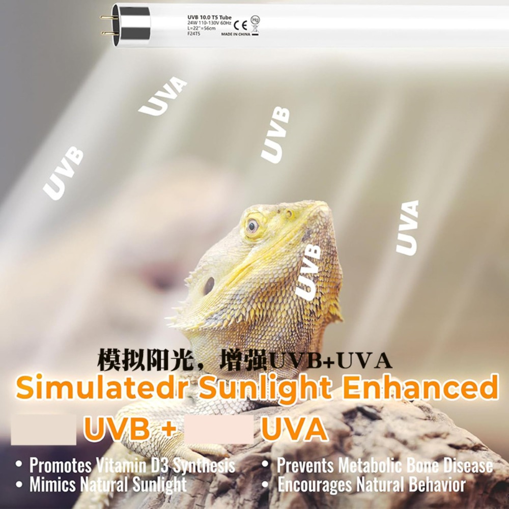 Planted and Reptile Terrarium  - Led Planted Tank Light ulasan dan harga
