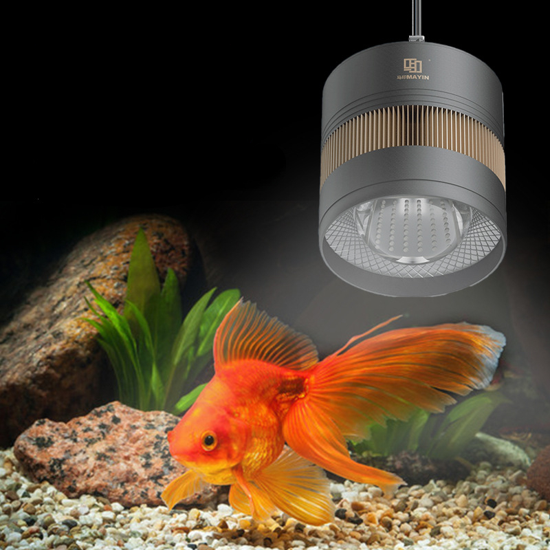 MAYIN Aquarium Full Spectrum L - Planted Aquarium For Goldfish ulasan dan harga