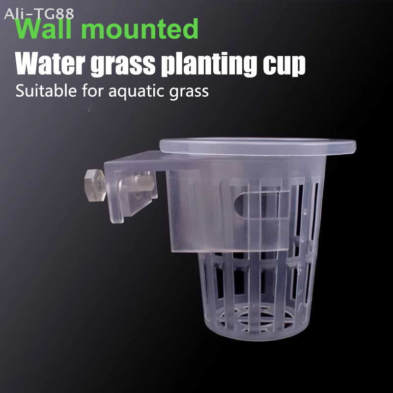 Hanging Aquarium Plant Holder  - Emersed Plants Aquarium ulasan dan harga